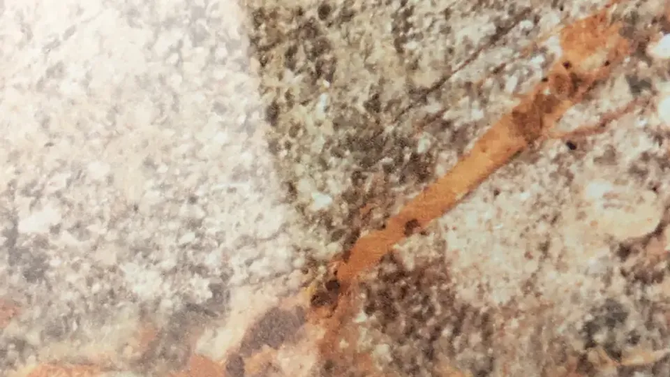 Cafe Marvel Laminate cabinet finish sample